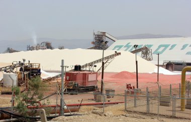 dead sea Israel yapılan bitki