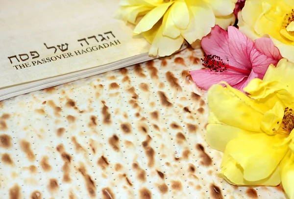 Lente feest van Pesach — Stockfoto