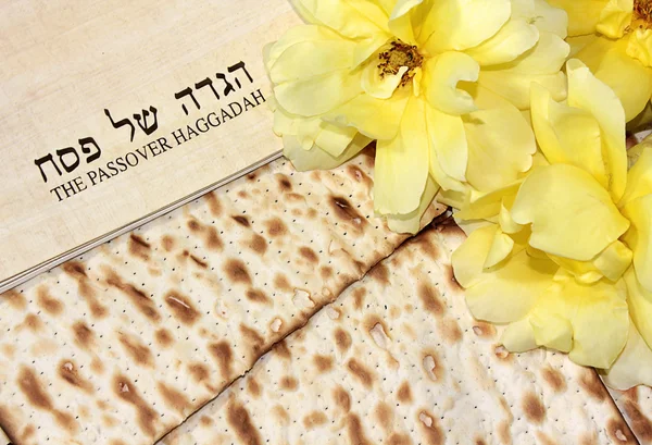 Lente feest van Pesach — Stockfoto