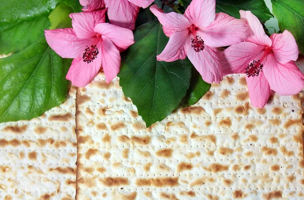 Lente feest van Pesach — Stockfoto