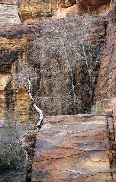 Coloridas formaciones rocosas de Petra en Jordania — Foto de Stock