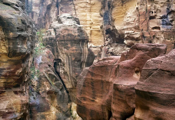 Colorful rock formations of Petra in Jordan — Stock Photo, Image