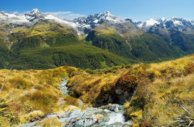 Fabulous scenery in New Zealand clipart