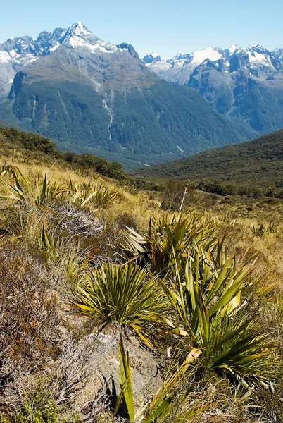 Märchenhafte Kulisse in Neuseeland — Stockfoto