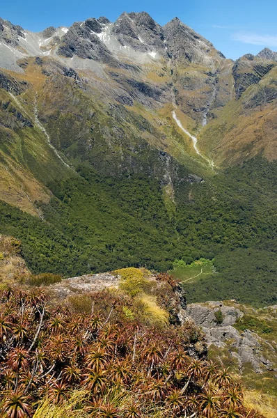 Märchenhafte Kulisse in Neuseeland — Stockfoto