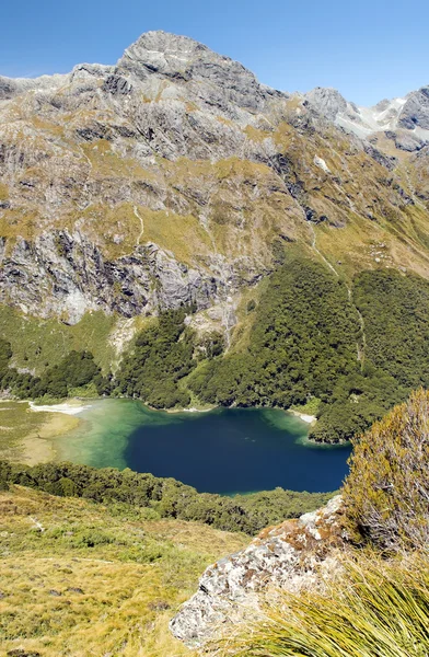 Paesaggio favoloso in Nuova Zelanda — Foto Stock