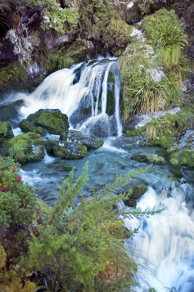 Fabuloso paisaje en Nueva Zelanda — Foto de Stock