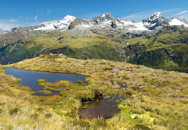 Storslagna fantastiska naturen i Nya Zeeland — Stockfoto