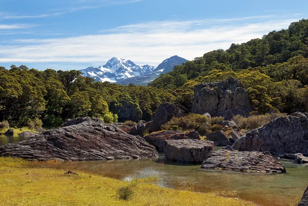 Magnifique paysage fabuleux en Nouvelle-Zélande — Photo