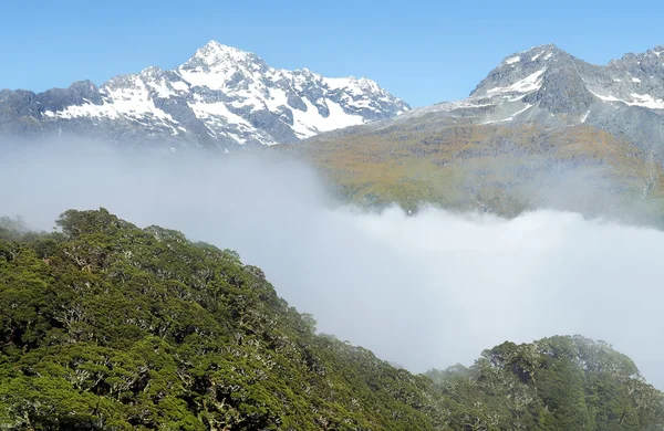 Storslagna fantastiska naturen i Nya Zeeland — Stockfoto
