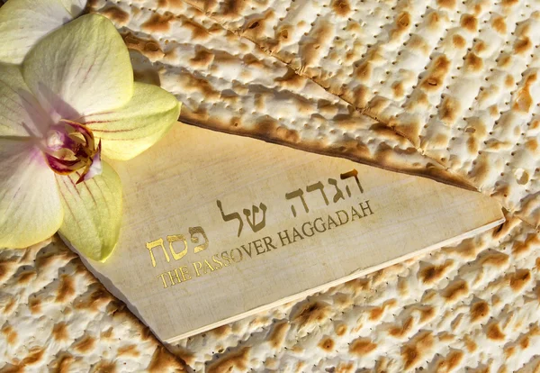 Haggadah för påsk — Stockfoto