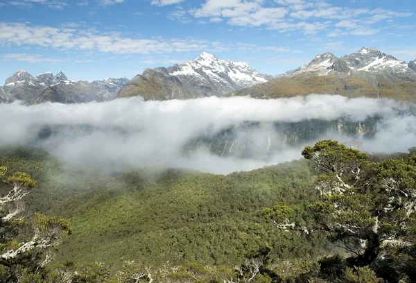 Magníficos paisajes de Nueva Zelanda —  Fotos de Stock