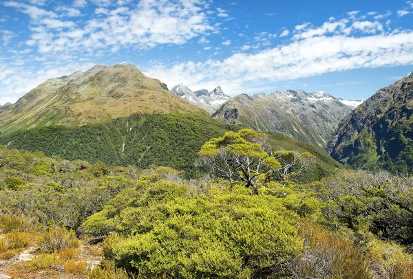 Magnificent landscapes of New Zealand — Stock Photo, Image