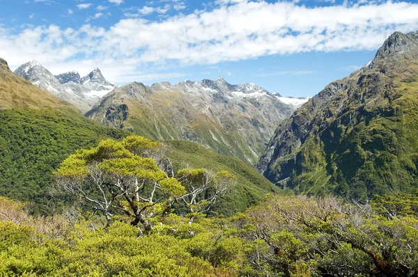 Wspaniałe krajobrazy z Nowej Zelandii — Zdjęcie stockowe