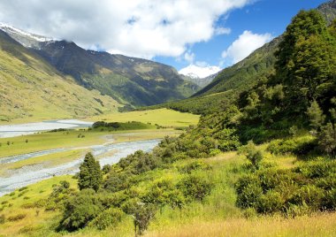 Yeni Zelanda Nehri ile peyzaj