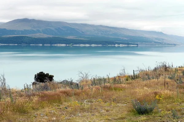 Krajobraz z jeziora na południe od Nowej Zelandii — Zdjęcie stockowe