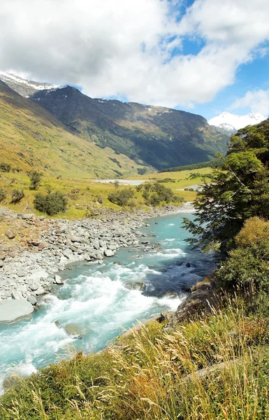 Landskap med flod i Nya Zeeland — Stockfoto