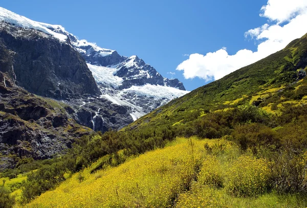 Fantastisch landschap in Nieuw-Zeeland — Stockfoto