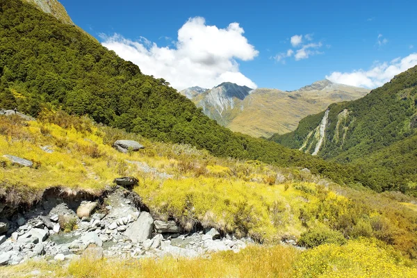 Wspaniały krajobraz w Nowej Zelandii — Zdjęcie stockowe