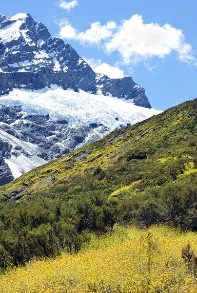 Fabuloso paisaje en Nueva Zelanda —  Fotos de Stock