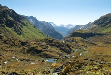 Yeni Zelanda muhteşem manzara