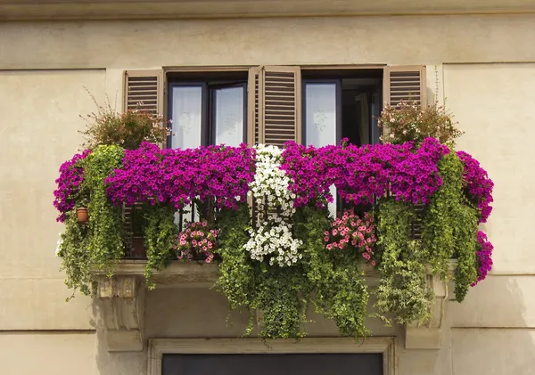 Balkong dekorerad med blommor petunior — Stockfoto
