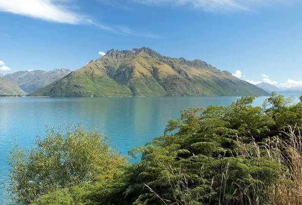 Natureza selvagem da Nova Zelândia — Fotografia de Stock