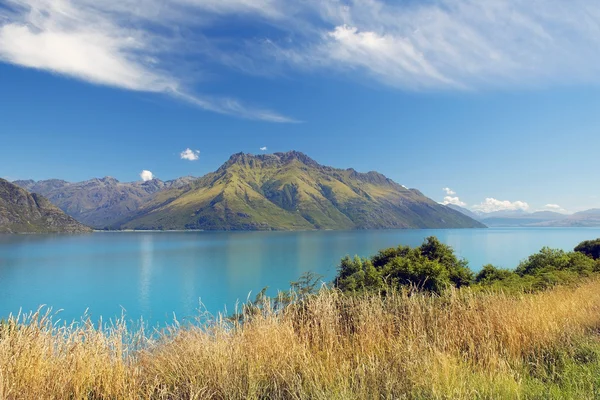 Wilde Natur des Neuseelands — Stockfoto