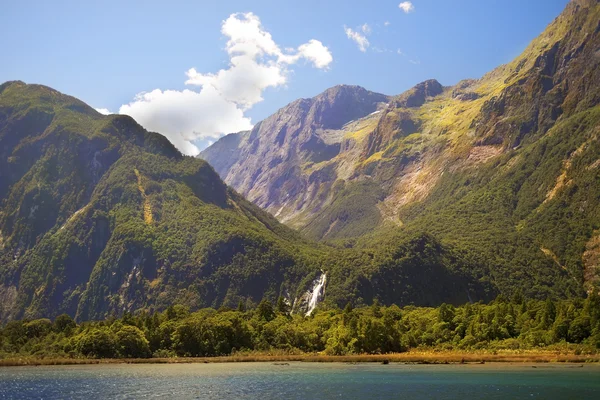 Naturaleza salvaje de Nueva Zelanda —  Fotos de Stock