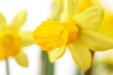  Çok katlı bir bina, en üst kat.