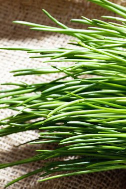  Çok katlı bir bina, en üst kat.