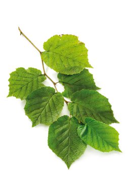  Çok katlı bir bina, en üst kat.