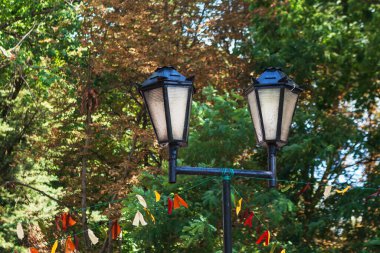 Ağaçların arka planında eski fenerler