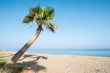 Avrupa, Almanya, Rhineland Palantinate, İnsan önceden hazırlanmış evlerin ahşap duvarlarını kurup onarıyor