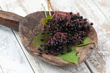 Tahta kaşık üzerinde yaprakları beyaz ahşap masa üzerinde duran mürver (Sambucus), stüdyo sho