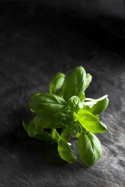 Tekstil üzerine fesleğen, yakın çekim.