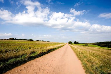 Yol, tarla ve kümülüs ile güzel gökyüzü - pitoresk yaz manzarası