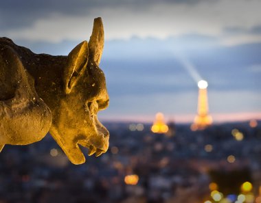 Notre dame görüntülemek