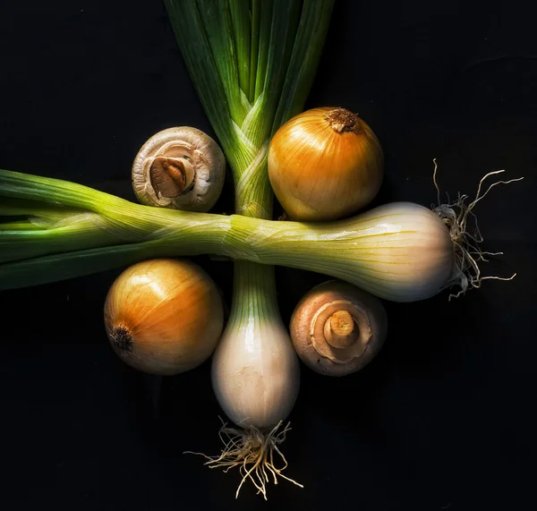 Pól i cebuli — Zdjęcie stockowe