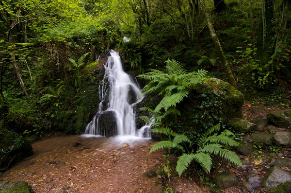 Autmun river — Stock Photo, Image