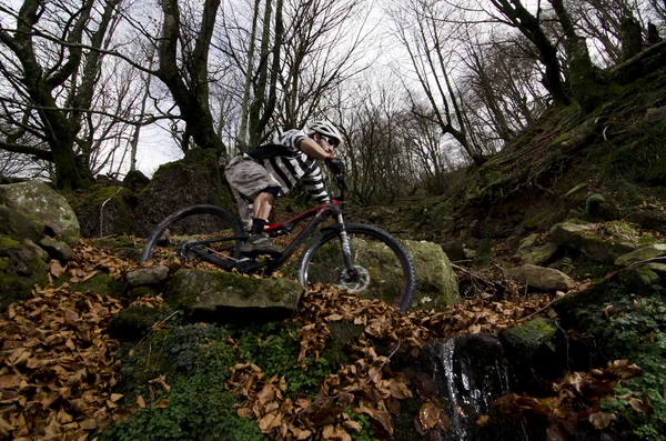 Rider in actie — Stockfoto