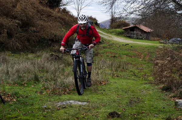 Rider in action — Stock Photo, Image