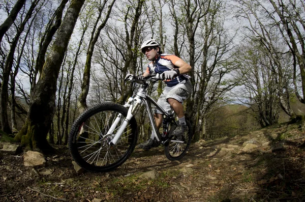 Rider in actie — Stockfoto