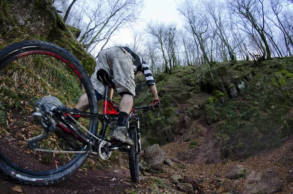 Rider in actie — Stockfoto