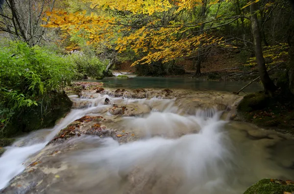 Fiume Autmun — Foto Stock