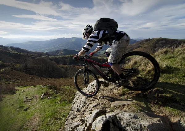 Rider in action — Stock Photo, Image