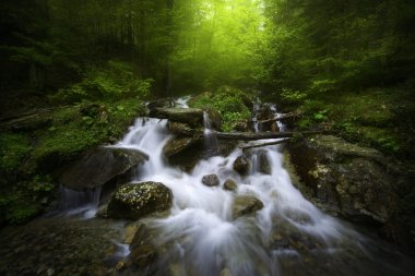 sisli bir günde dağ Nehri