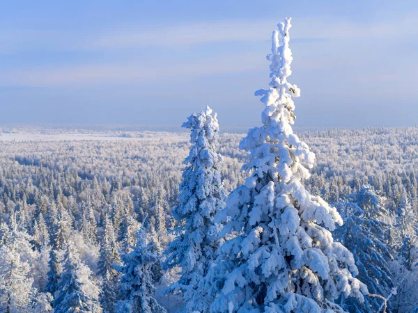 Fabulous Winter Landscape Snow Covered Trees Ural Winter Forest — Stock Photo, Image