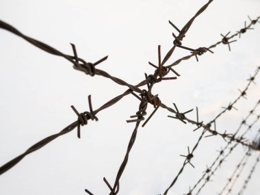 Beyaz arkaplandaki dikenli tellerin silueti