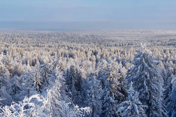 Fabulous Winter Landscape Snow Covered Trees Ural Winter Forest — Stock Photo, Image